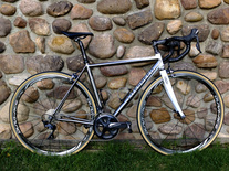 Litespeed Icon, 2008