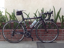 2009 Raleigh Grand Sport