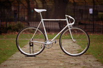 2009 Samson Pearl White