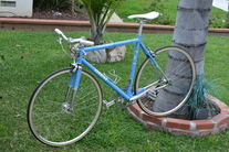 2009 Schwinn Madison photo