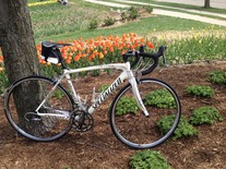 2009 Specialized Tarmac Expert