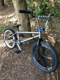 2010 Deluxe Team BMX