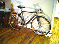 2010 Schwinn Madison photo