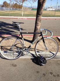 2011 Bianchi pista photo