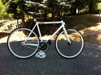 2011 Cinelli Bootleg photo