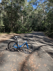 2011 Giant Omnium photo