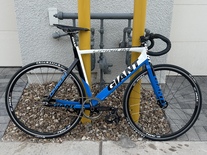 2011 Giant Omnium