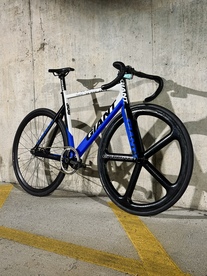 2011 Giant Omnium photo
