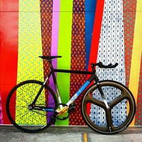 2011 Mash Cinelli Histogram photo