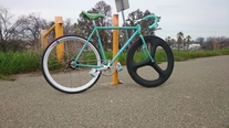 2013 Bianchi Pista 53cm photo