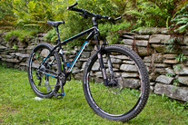 2013 Trek Cobia photo