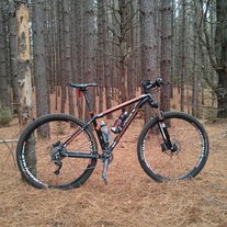 2013 Trek Mamba photo