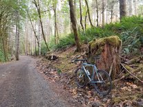 2014 All-City Spacehorse photo