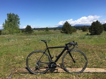 2014 Cannondale Caad10