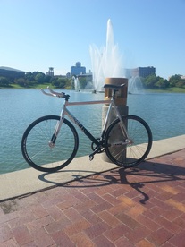 2014 Cinelli Mash Histogram.