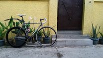 2014 Colossi Cheeko Track photo