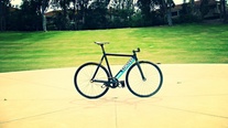 Colossi Low Pro