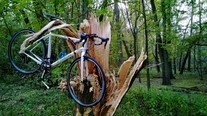 2014 Trek Crockett 5 photo