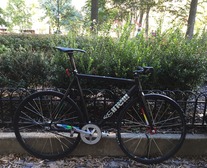 2015 Cinelli Mash Histogram (59cm-Large)