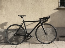 2015 EXS Singlespeed