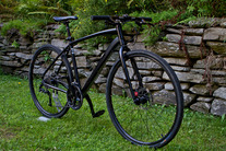 2015 Raleigh Misceo