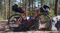 2015 Soma Wolverine photo