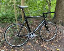 2016 Sensa Pista photo