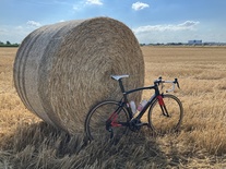 2018 Ridley Noah
