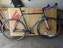 2019 Cinelli Tutto
