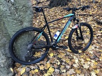 2019 Orbea MX 29 photo