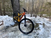 2019 Rocky Mountain Element Custom