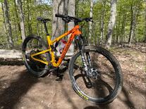 2019 Rocky Mountain Element Custom