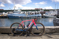 2019 S-Works Crux photo