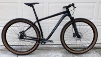 2019 Salsa Timberjack SS MTB photo