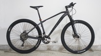 2020 GW Jaguar 29" (Stolen)