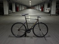 2020 Oduwan Bikes Coppion (RIP)