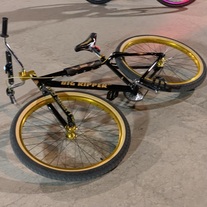 2021 SE Bikes Big Ripper photo