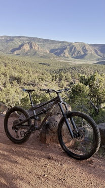 2021 Specialized Status 160