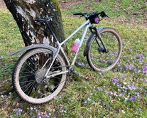 2022 Specialized Chisel Comp