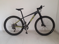 2023 GW Alligator 29"