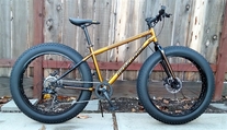 2025 Mongoose Argus ST