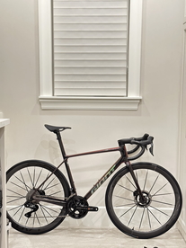 2025 TCR SL photo