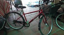 29r BMX photo