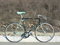 Bianchi Pista