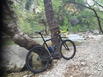 3D rover xc single speed photo