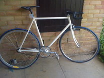 Cougar Fixed Gear