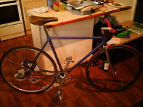 The raleigh rat bike
