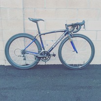 49cm Specialized Allez sport photo