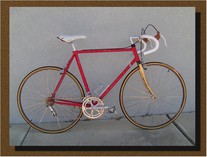 50th anniversary Schwinn Red w/gold fork photo