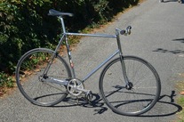 Famina  Professional